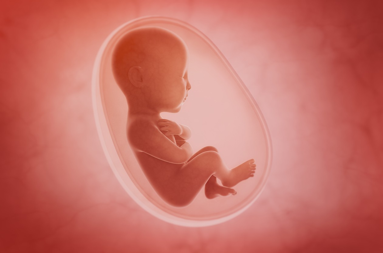 Nueva ley en Texas prohíbe el aborto a partir de la sexta semana