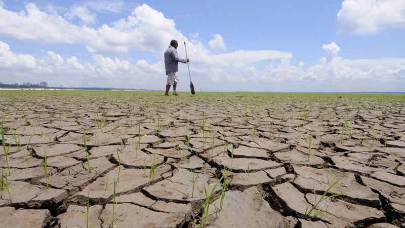 Medio ambiente: qué proponen las principales economías de América Latina para limitar el calentamiento global (y por qué sus propuestas son consideradas “insuficientes”)